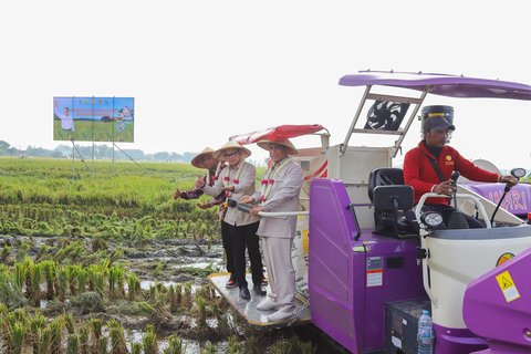 Mentan Amran Salurkan Bantuan Pompa hingga Alsintan, Produksi Padi di Bangkalan Meningkat Signifikan