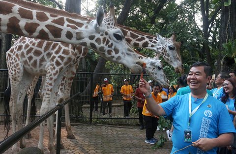 &ldquo;Jadi kita beri nama bayi jerapah ini yang lahir pada 3 Desember 2024, namanya adalah Rajaka, Rajaka juga Ragunan Jakarta,&rdquo; kata Teguh.