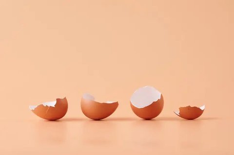 Cangkang Telur