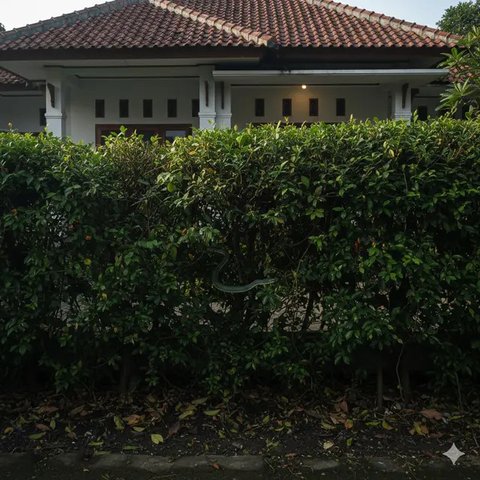 Pagar tanaman yang menarik ular kobra (Foto: Reve Art AI)