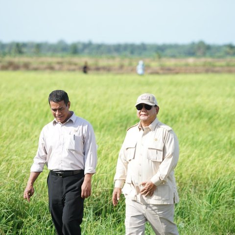 Survei Litbang Kompas: 71,5 Persen Puas dengan Kinerja Kementan