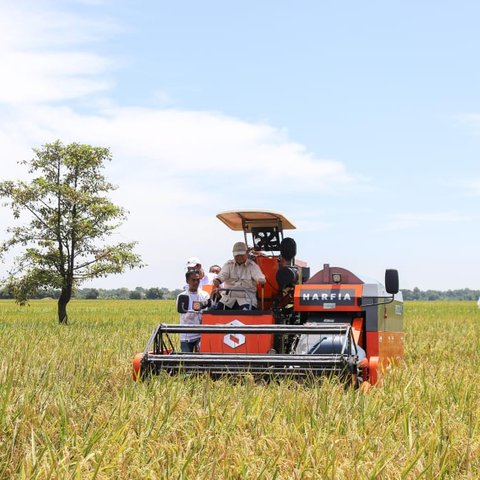 Kinerja Positif Kementan Bawa Angin Segar, Swasembada Pangan Kian Nyata