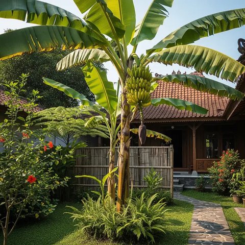 Ilustrasi Ular Kobra yang menjadi perantara virus Corona | unsplash.com/@mohan_moolepetlu