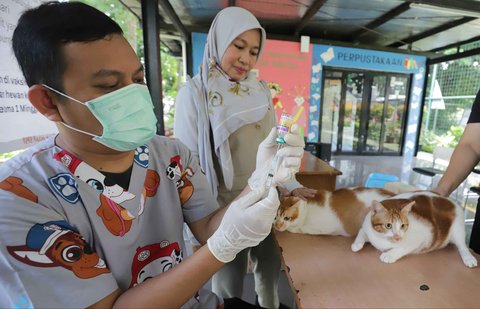 Seorang dokter hewan menyiapkan vaksin rabies pada seekor kucing milik warga di Ruang Publik Terpadu Ramah Anak (RPTRA) Manggarai, Jakarta, Senin (14/10/2025)