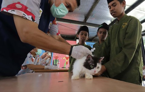 Seorang dokter hewan menyuntikkan  vaksin rabies pada seekor kucing milik warga di Ruang Publik Terpadu Ramah Anak (RPTRA) Manggarai, Jakarta, Senin (14/10/2025)