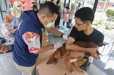 Seorang dokter hewan menyuntikkan  vaksin rabies pada seekor anjing milik warga di Ruang Publik Terpadu Ramah Anak (RPTRA) Manggarai, Jakarta, Senin (14/10/2025)