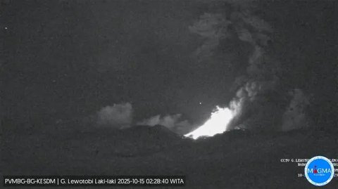 Gunung Lewotobi Laki-laki Erupsi Selasa Malam (Dok: Kementerian ESDM)