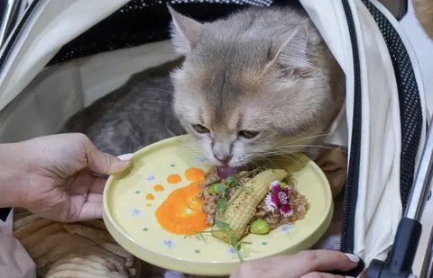 Jenis Pagar Tanaman yang Aman Cegah Ular Kobra Masuk Rumah (Gemini AI)