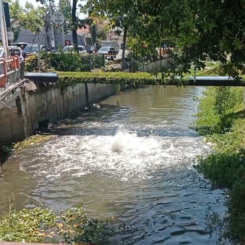 Heboh, Semburan Air Beraroma Gas di Surabaya PGN Turun Tangan
