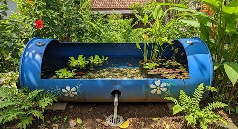 Model Kolam Ikan dari Drum Bekas