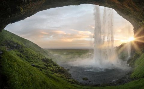 Ilustrasi nyamuk. Sumber foto: unsplash.com/Thomas Kinto.