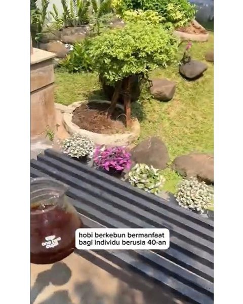 Teras depan rumah Anji yang halamannya dimanfaatkan untuk berkebun dan budidaya sirih China. [IG: @duniamanji]