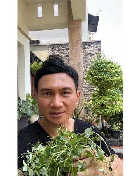 Teras depan rumah Anji yang halamannya dimanfaatkan untuk berkebun dan budidaya sirih China. [IG: @duniamanji]