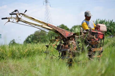 Petani mengisi Jenis Bahan Bakar Minyak (BBM) Tertentu solar untuk mesin bajak di Cirebon, Jawa Barat, medio 2025 lalu. Petani merupakan salah satu Konsumen Pengguna yang dapat membeli BBM subsdi dan kompensasi menggunakan Surat Rekomendasi.