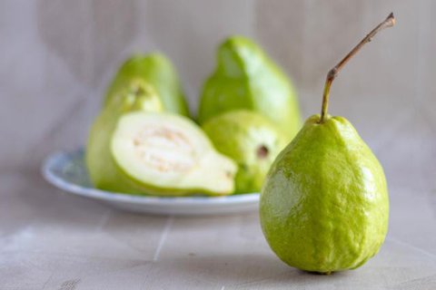 Ilustrasi Jambu. (Foto: jcomp/freepik)