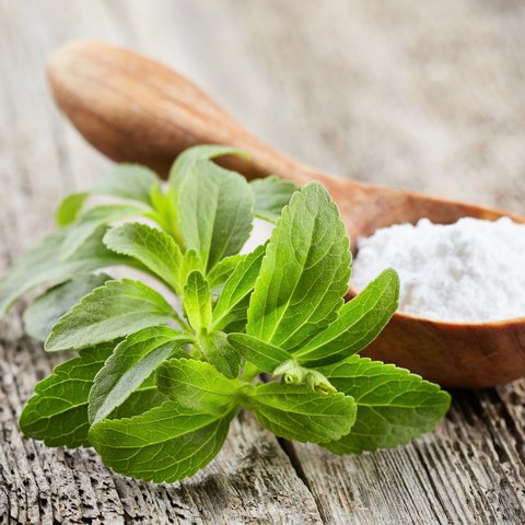 Ilustrasi stevia.