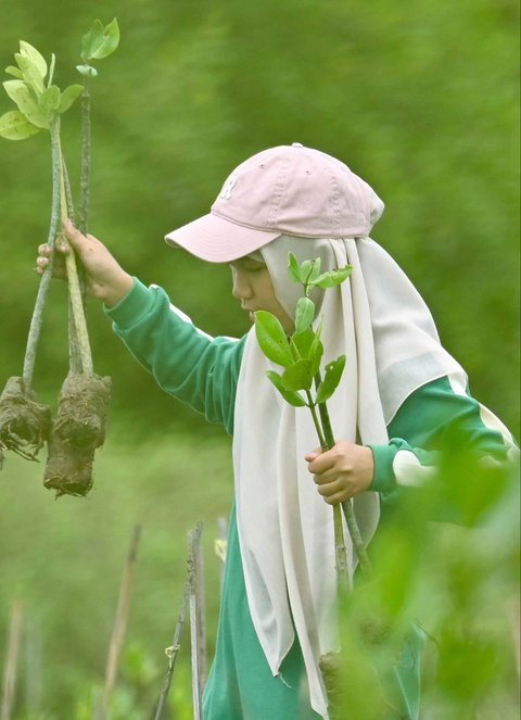 Seorang siswa menanaman bibit mangrove (Rhizophora mucronata) di kawasan pesisir desa Lampulo, Banda Aceh, Aceh, Sabtu (25/10/2025)