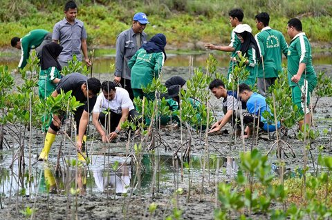 Sejumlah siswa bersama gurunya menanam bibit mangrove (Rhizophora mucronata) di kawasan pesisir desa Lampulo, Banda Aceh, Aceh, Sabtu (25/10/2025).