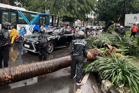 Sebuah mobil mewah Lexus tertimpa pohon tumbang di Jalan Metro Pondok Indah, Jakarta, Minggu (26/10/2025).