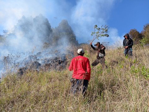 Kebakaran Lereng Gunung Batur Hanguskan 9,8 Hektare Lahan