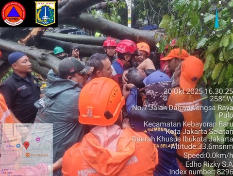 Pohon Tumbang di Jaksel Timpa 5 Mobil, 1 Orang Meninggal