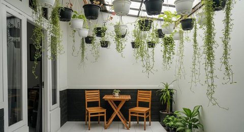 Tips Menata Pot Bunga dan Kursi di Teras Sempit agar Tetap Nyaman