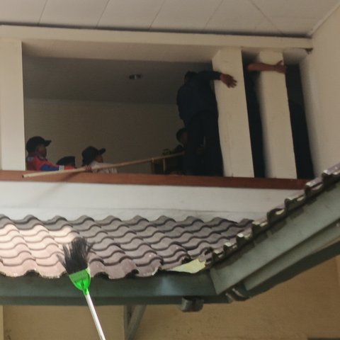 Proses Evakuasi Macan Tutul di Hotel Anugrah Bandung
