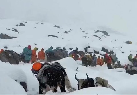 Pnduduk desa bersama kuda  dan mereka mendaki gunung dalam upaya penyelamatan untuk menyelamatkan ratusan pendaki yang terjebak salju tebal di perkemahan wisata di lereng Gunung Everest di Tibet,  Minggu (05/10/2025).