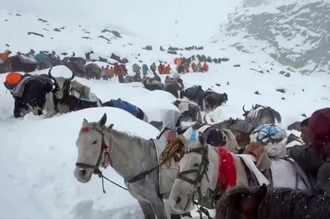 Pnduduk desa bersama kuda  dan mereka mendaki gunung dalam upaya penyelamatan untuk menyelamatkan ratusan pendaki yang terjebak salju tebal di perkemahan wisata di lereng Gunung Everest di Tibet,  Minggu (05/10/2025).