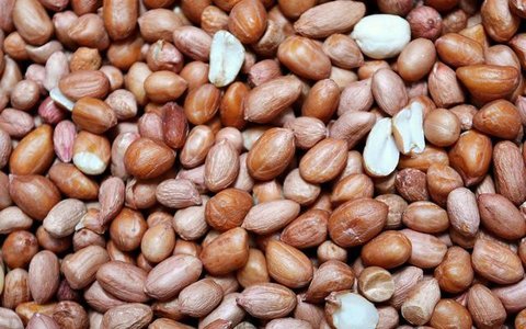Ilustrasi Almond Credit: pexels.com/Karolina