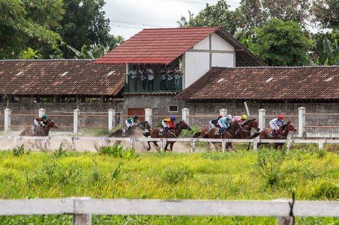Para joki bertanding pada kejuaraan pacuan kuda nasional tahunan yang memperebutkan piala kerajaan Sultan Hamengku Buwono di arena pacuan kuda Sultan Agung di Bantul, Yogyakarta, Minggu (09/11/2025).