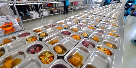 Soal Rencana Investasi Rp20 Triliun ke Peternak Ayam, Ini Kata Bos Danantara