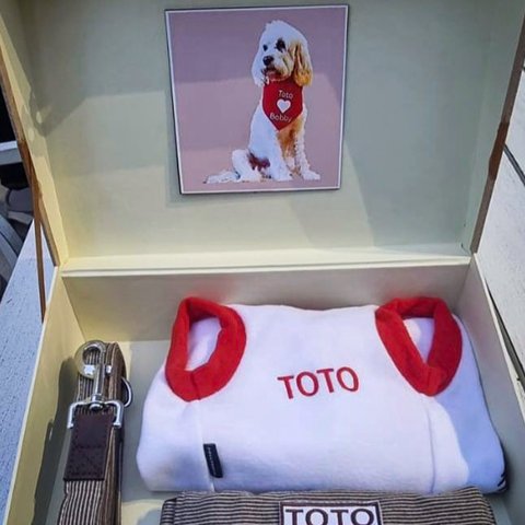 Presiden Prabowo Buat PM Australia Tersenyum Lewat Hadiah untuk Toto