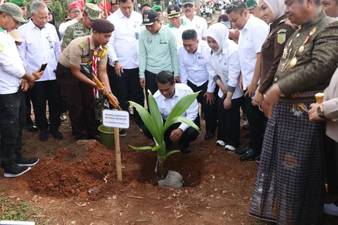 Mentan Andi Amran Sulaiman Launching Gerakan Menanam Lima Juta Kelapa di Selayar
