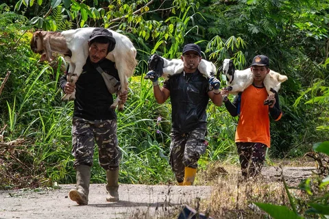 Para relawan penyelamat mencari korban  di lokasi tanah longsor di Desa Situkung, Banjarnegara, Jawa Tengah, Selasa (18/11/2025).