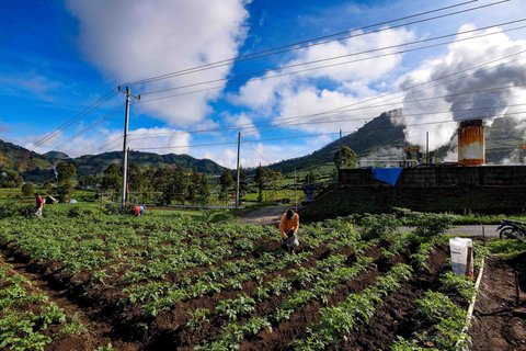 Petani melakukan pemupukan tanaman kentang di kawasan Batur, Banjarnegara, Jawa tengah, Minggu (02/11/2025).