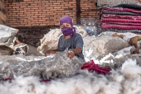 BRI telah menyalurkan KUR senilai Rp69,8 triliun sepanjang Januari hingga Mei 2025. (c) Istimewa