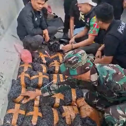 Heboh! 34 Kantong Narkotika Terbongkar Usai Mobil Terguling di Tol