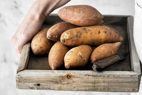Mengonsumsi lebih banyak sayur dan buah baik untuk penyakit Hepatitis. (foto: jcomp/freepik)
