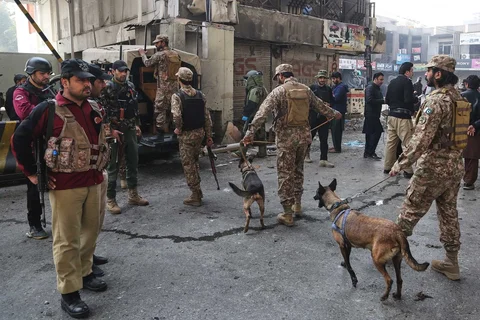 Tentara Pakistan tiba dengan anjing pelacak setelah pelaku bom bunuh diri menyerang Markas Besar Pasukan Paramiliter Sipil di Peshawar, Pakistan, Senin (24/11/2025).