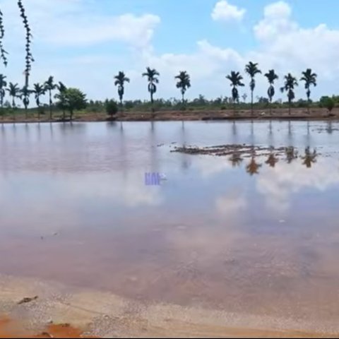Ide Berlian Letjen Kunto Arief, Lahan Gabut Disulap Jadi Surga Pertanian