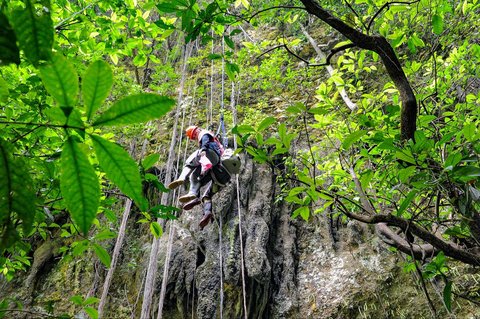 Pengunjung menuruni goa dengan teknik rappeling di Goa Jpmblang  di Gunung Kidul, Yogyakarta.
