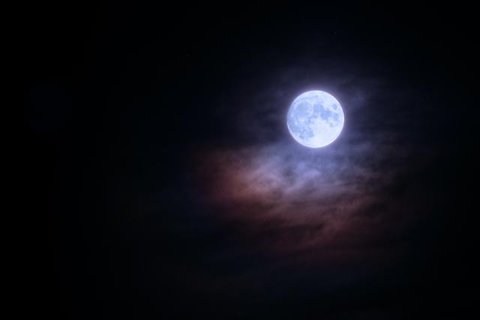 Ilustrasi super blue moon, bulan biru. (Photo by haylee booth on Unsplash)