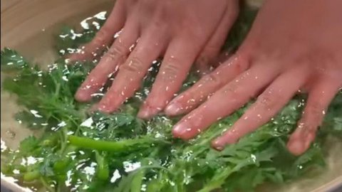 Brokoli Kukus (Gemini AI)