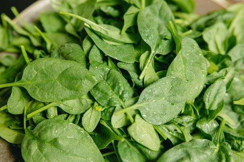 Ide Kebun Sayur di Balkon Rumah (AI)