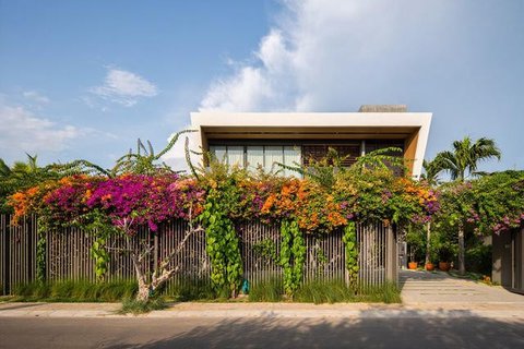 Model Tampak Depan Rumah Minimalis Asri dengan Tanaman Rambat. Foto: