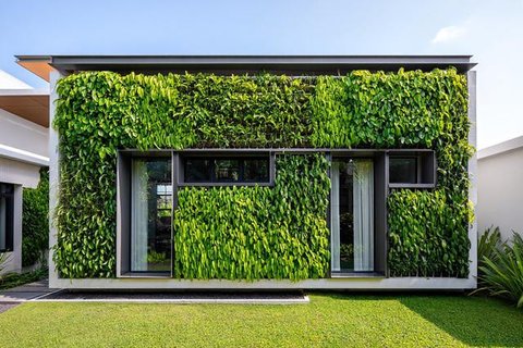 Model Tampak Depan Rumah Minimalis Asri dengan Tanaman Rambat. Foto: