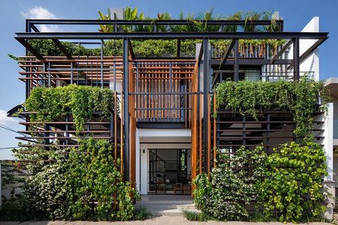 Model Tampak Depan Rumah Minimalis Asri dengan Tanaman Rambat. Foto: