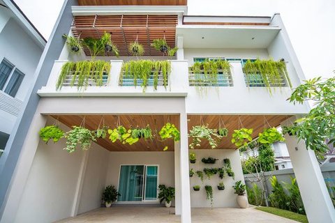 Model Tampak Depan Rumah Minimalis Asri dengan Tanaman Rambat. Foto: