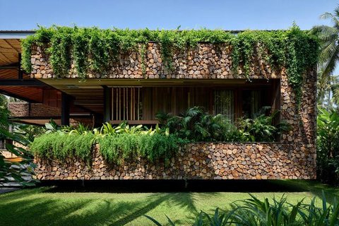 Model Tampak Depan Rumah Minimalis Asri dengan Tanaman Rambat. Foto: